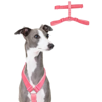 Шлейка для собак - не тянется, легко устанавливается Регулируемая шлейка для выгула или дрессировки мелких и средних собак
